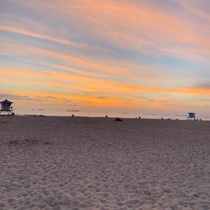 Meet your Posher, Lily